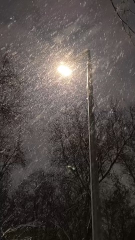 Катруся в LOOKY. . 