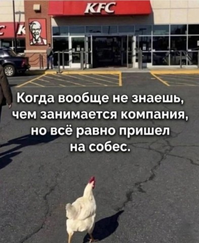Looky_1680944639316 в LOOKY. . 