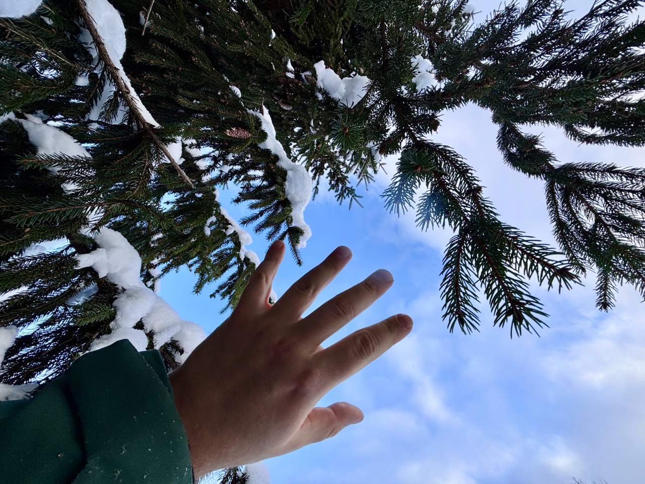 archizelig в LOOKY — Где-то там весна #2026