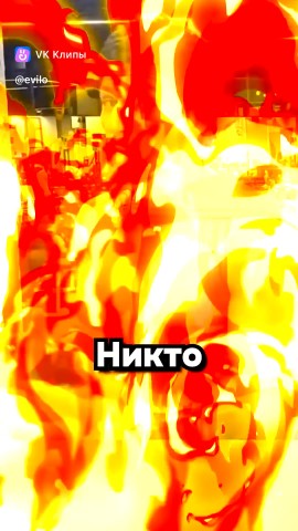 Небесный Щенок в LOOKY — публикация