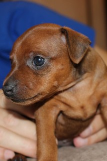 Элина Прилепкина в LOOKY — фото 3