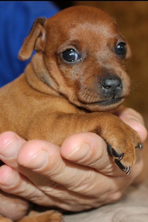 Элина Прилепкина в LOOKY — фото 2