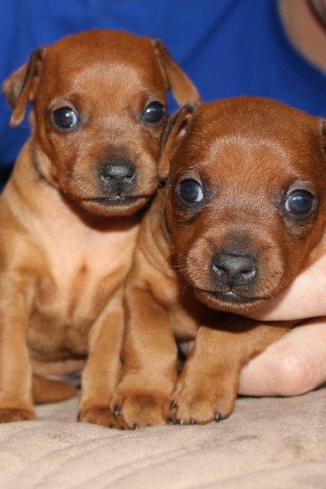 Элина Прилепкина в LOOKY — фото 5