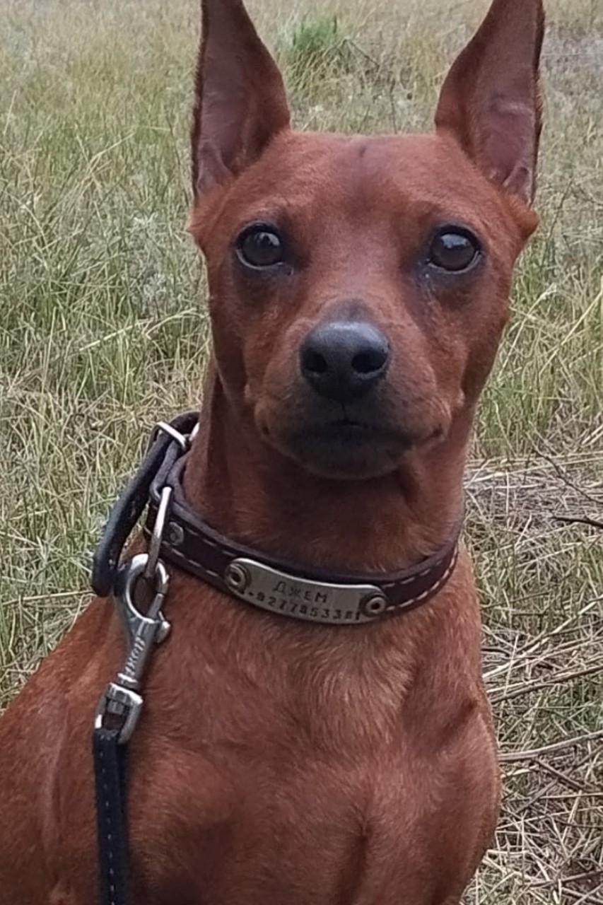 Элина Прилепкина в LOOKY — фото 6