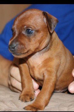 Элина Прилепкина в LOOKY — фото 4