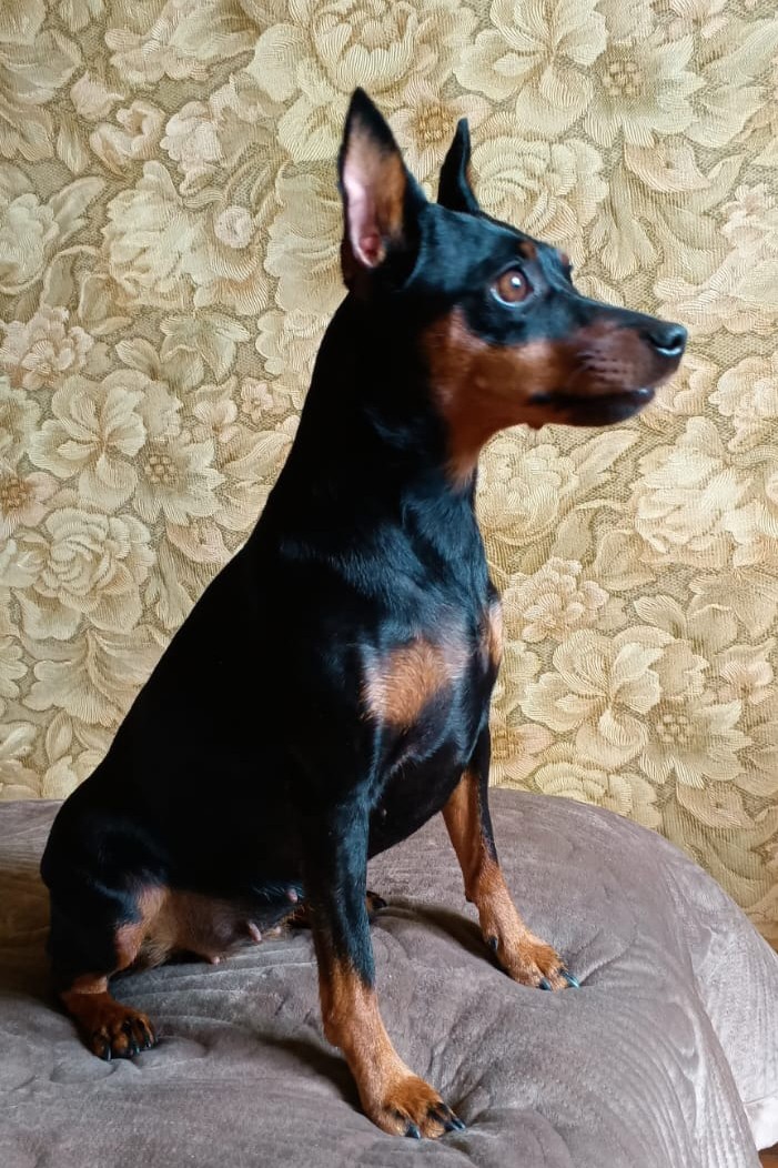 Элина Прилепкина в LOOKY — фото 7