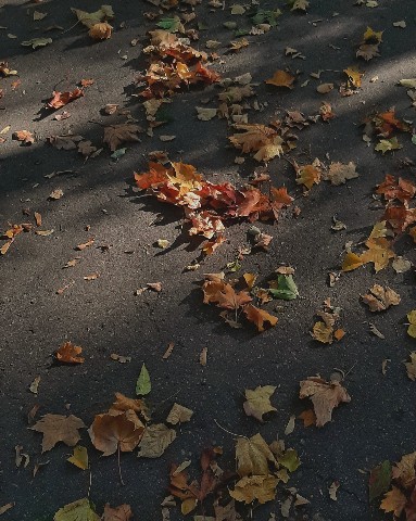 vasiilleevaa в LOOKY. . 🍁