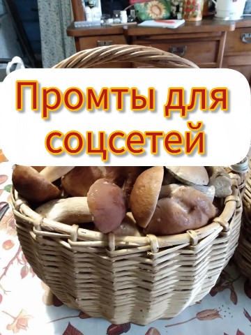 Нелли Сова в LOOKY. . Это универсальный Пр...