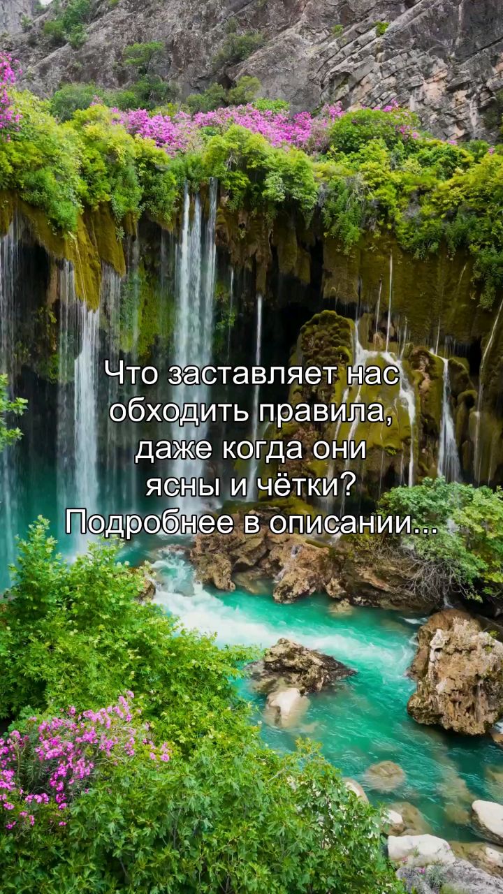 inna_areels в LOOKY — Ты знаешь правила. Ты видишь их. Ты понимаешь, что они ясны 