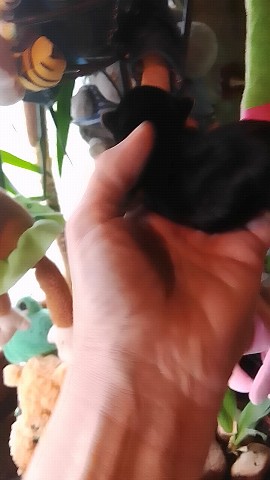 Looky_177184370998358 в LOOKY. . Малышка растёт