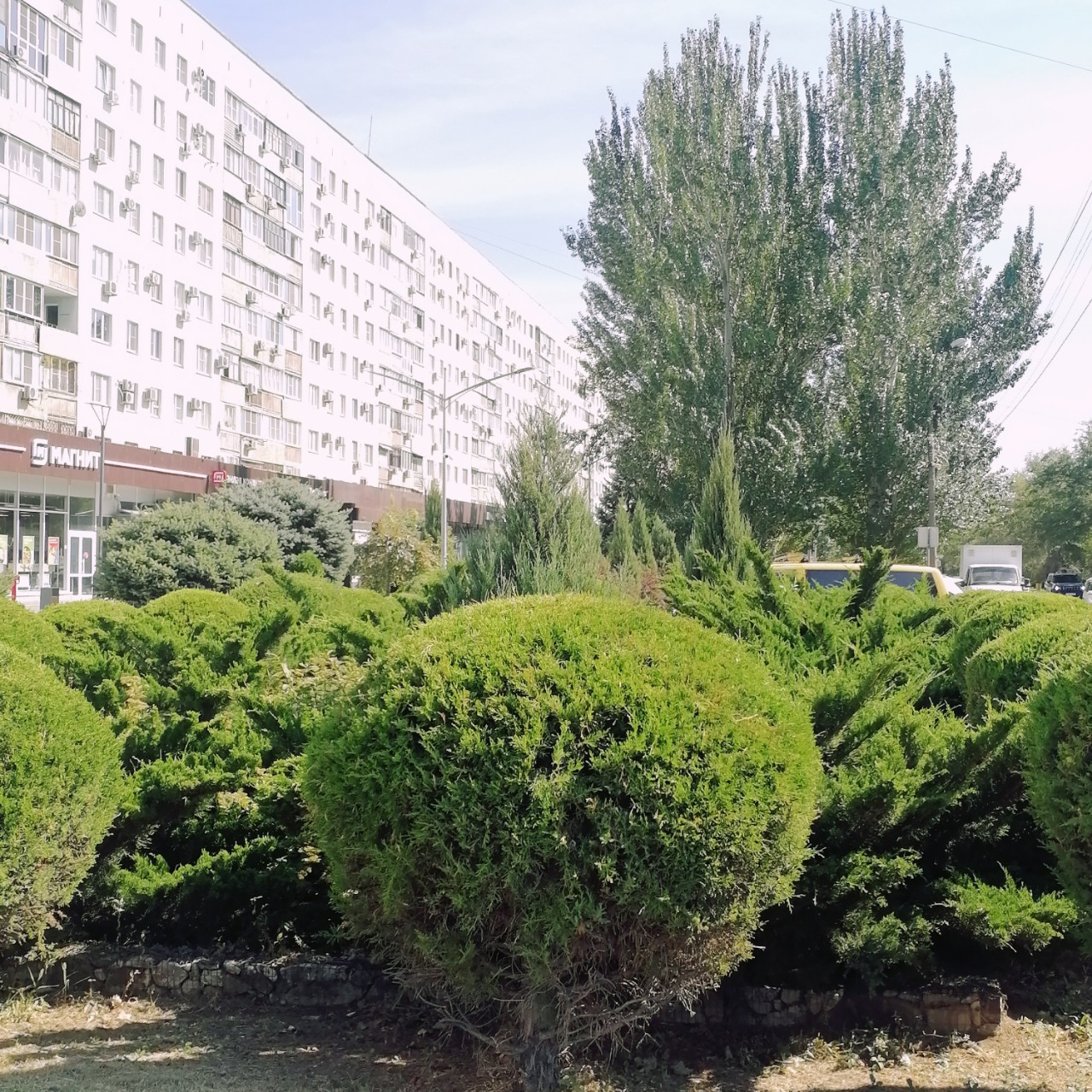 Татьяна Фадеева в LOOKY — фото 5