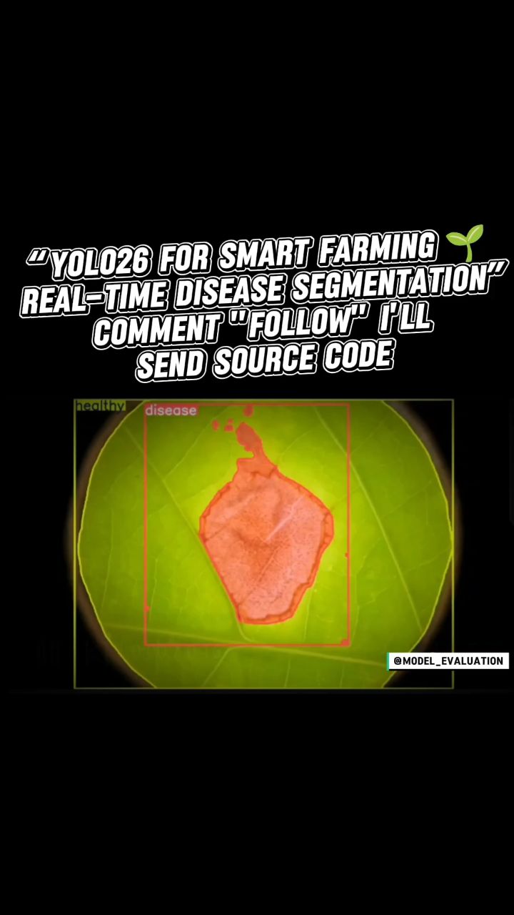 Model evaluation в LOOKY. #ComputerVision,#YOLO,#Ultralytics,#Segmentation,#PlantDisease,#PrecisionAgriculture,#DeepLearning,#ArtificialIntelligence,#SmartFarming,#OpenCV,#AI,#AgricultureTech. Real-time leaf disea...