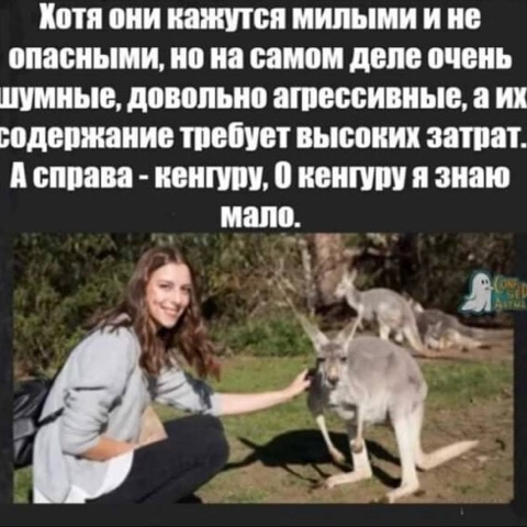 vitali_sudnik в LOOKY. . 