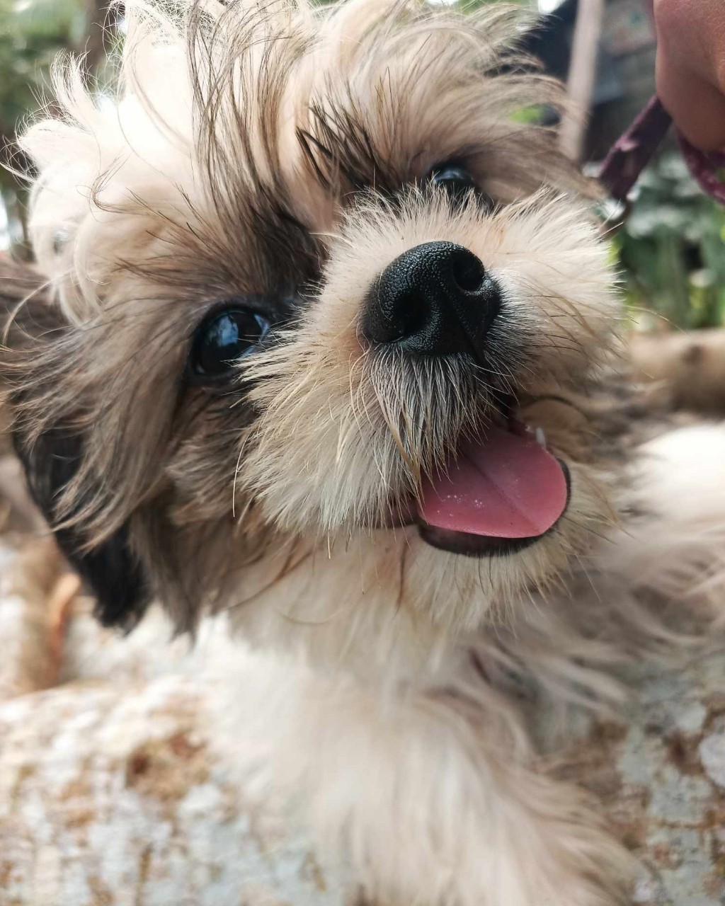 Looky_1692808688064 в LOOKY — My love luna