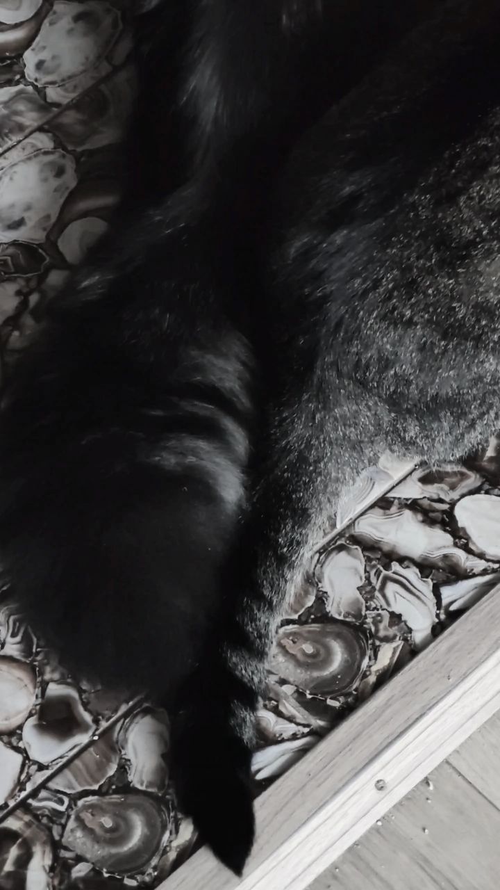kitty в LOOKY — Васеныш-масленыш и Максик💋🥹💕👍🏻😻