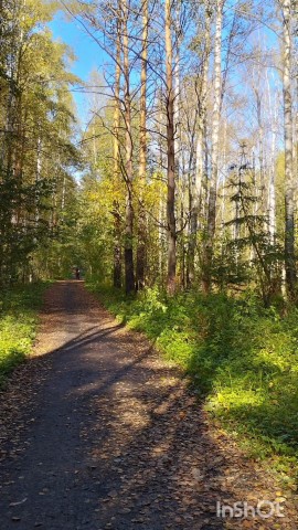  в LOOKY — пермская осень Чернявенский парк