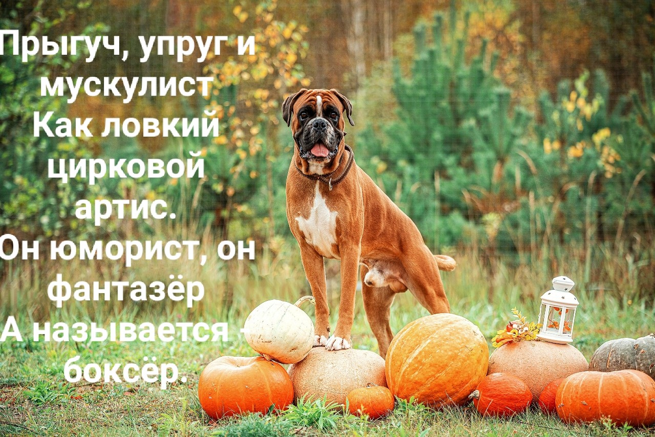 Осеннее настроение