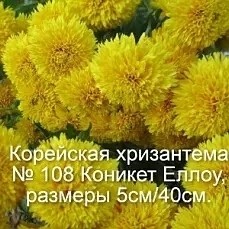 svetlanaklimenko603te9ps1k в LOOKY. . Принимаю заказы на в...