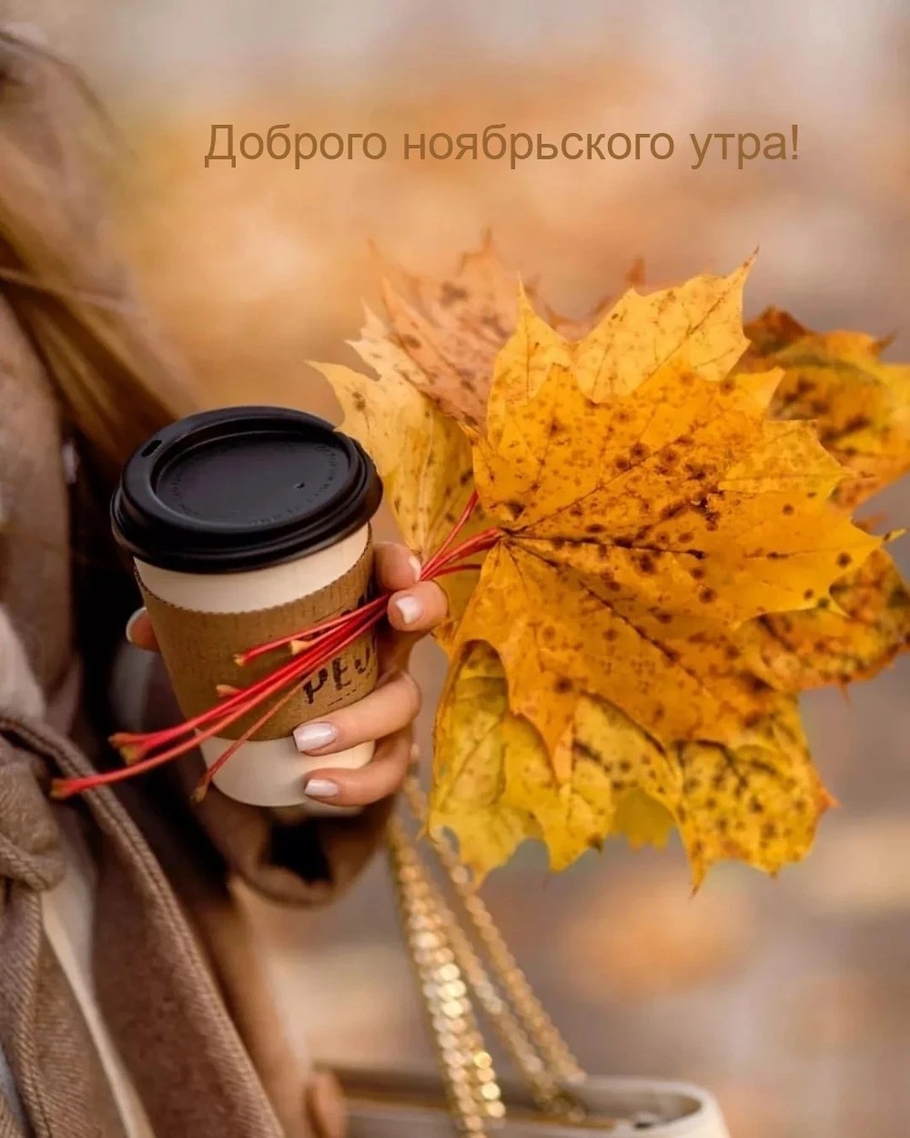Лёля в LOOKY. . 