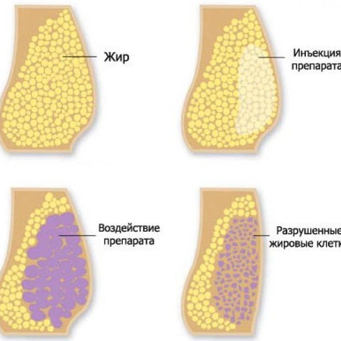 Афина Эстет в LOOKY — фото 2