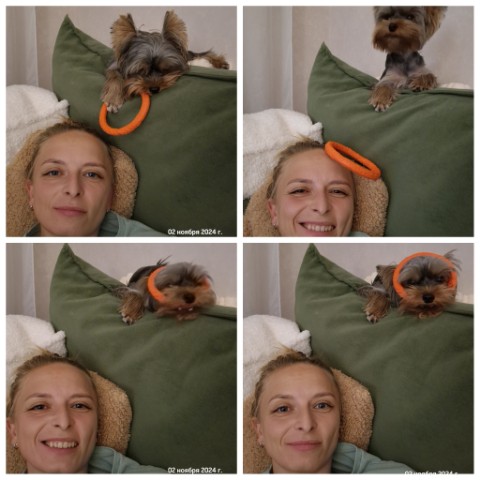 marina_manakhova в LOOKY. #йорк. В течении трёх минут...