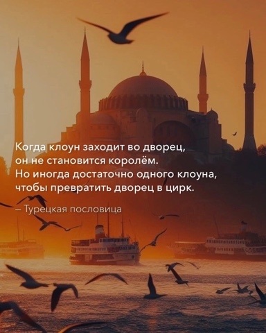 Welfare в LOOKY. . 