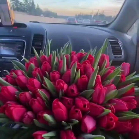sveta_proffi в LOOKY. . Внутри каждого Челов...
