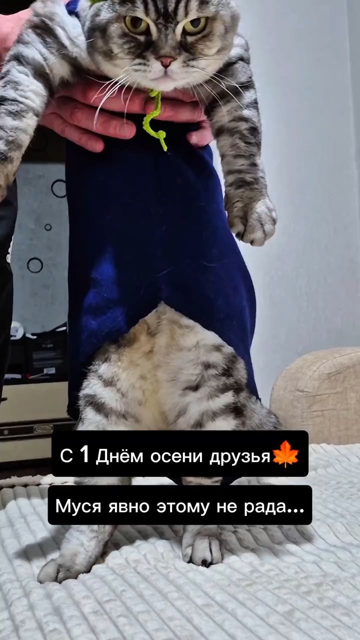 myshka.musya.marusya в LOOKY — публикация