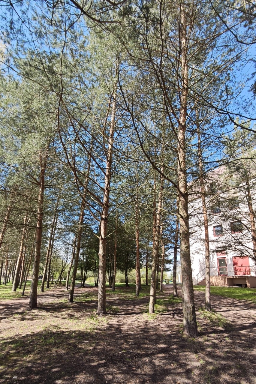 Под конец дня понял, что сегодня пятница 13-ое