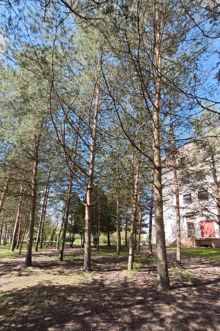 mab_ru в LOOKY. . Под конец дня понял,...