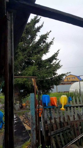 Данил в LOOKY — публикация