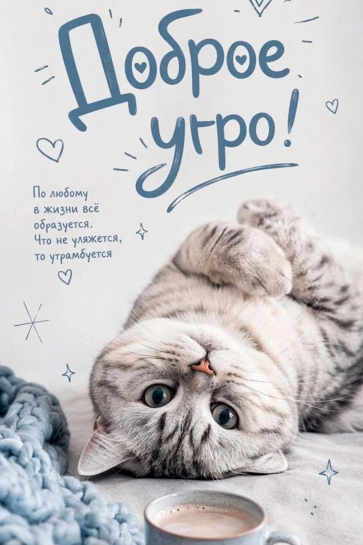  в LOOKY — публикация