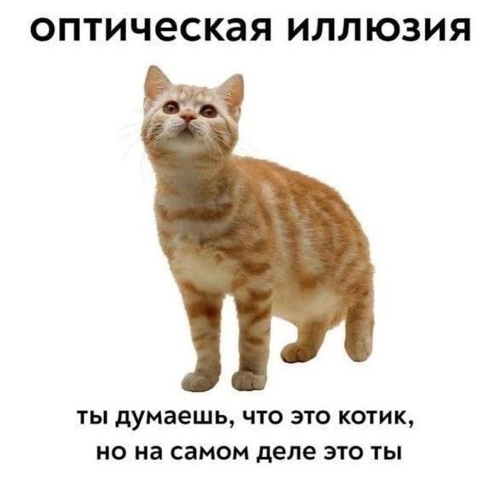 VaRyA