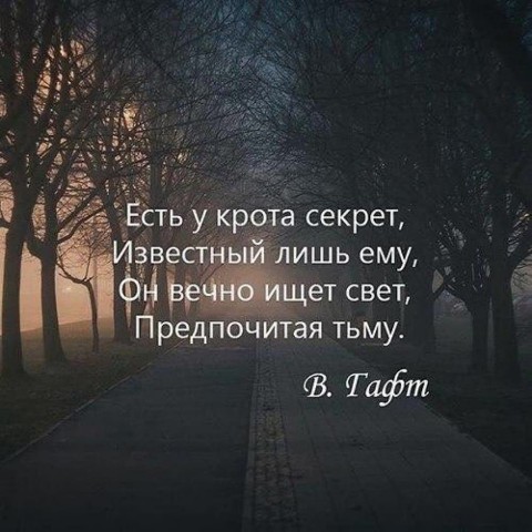 kalininanadya12.27 в LOOKY. . Тьма не рождается са...