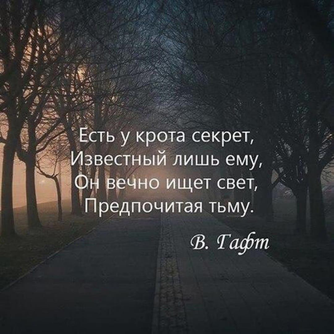 kalininanadya12.27 in LOOKY. . Тьма не рождается са...