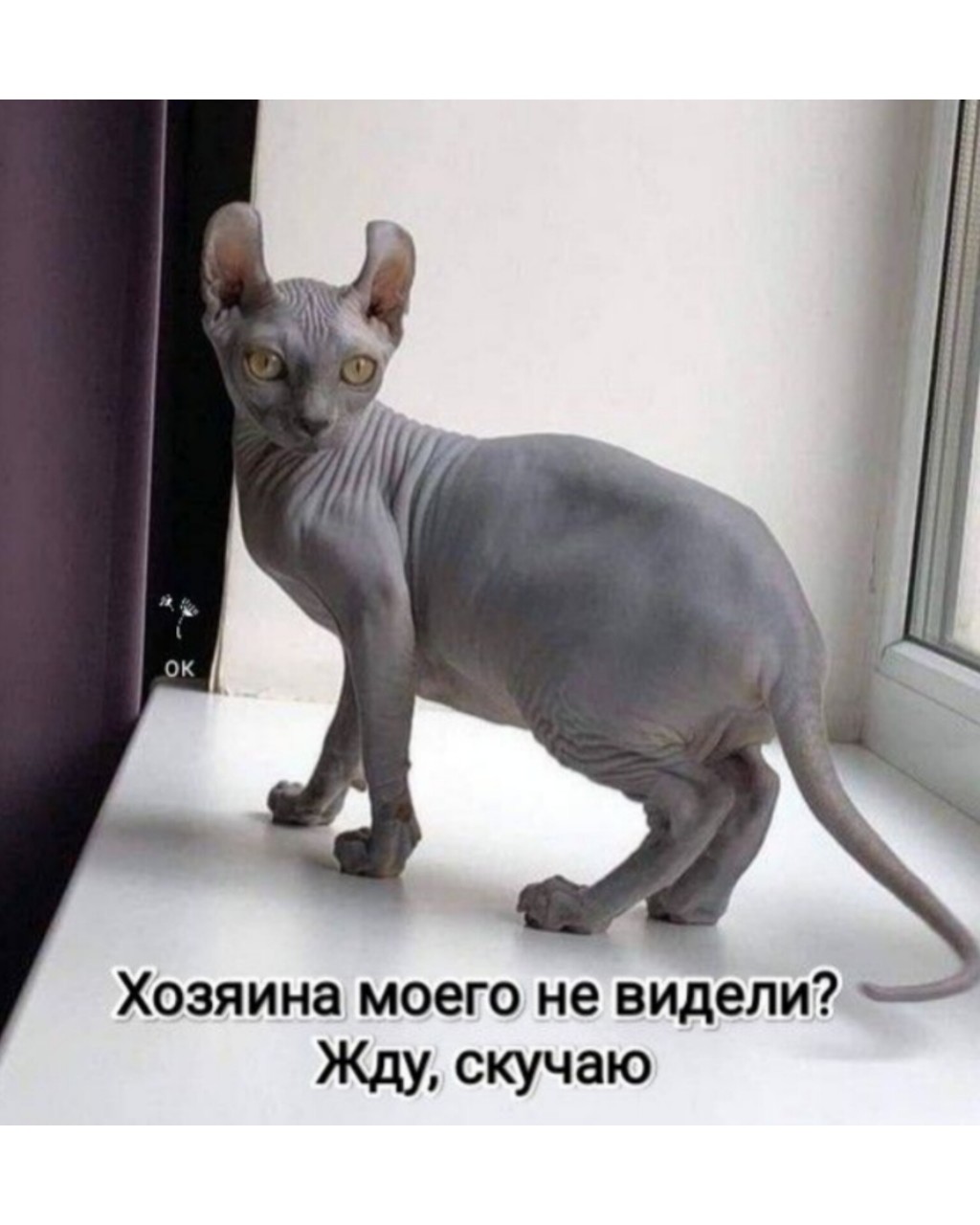 София Бровикова в LOOKY — фото 4