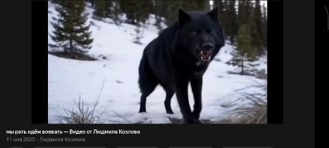ЛУЧИК в LOOKY. #мысли_в_слух,#закон_жизни,#отдых,#подписывайся,#ставьлайк,#ставим_лайк,#хочувтоп,#хочуврек,#хочувтоп,#философия,#отдых,#свободноевремя. #мысли_в_слух
#закон...