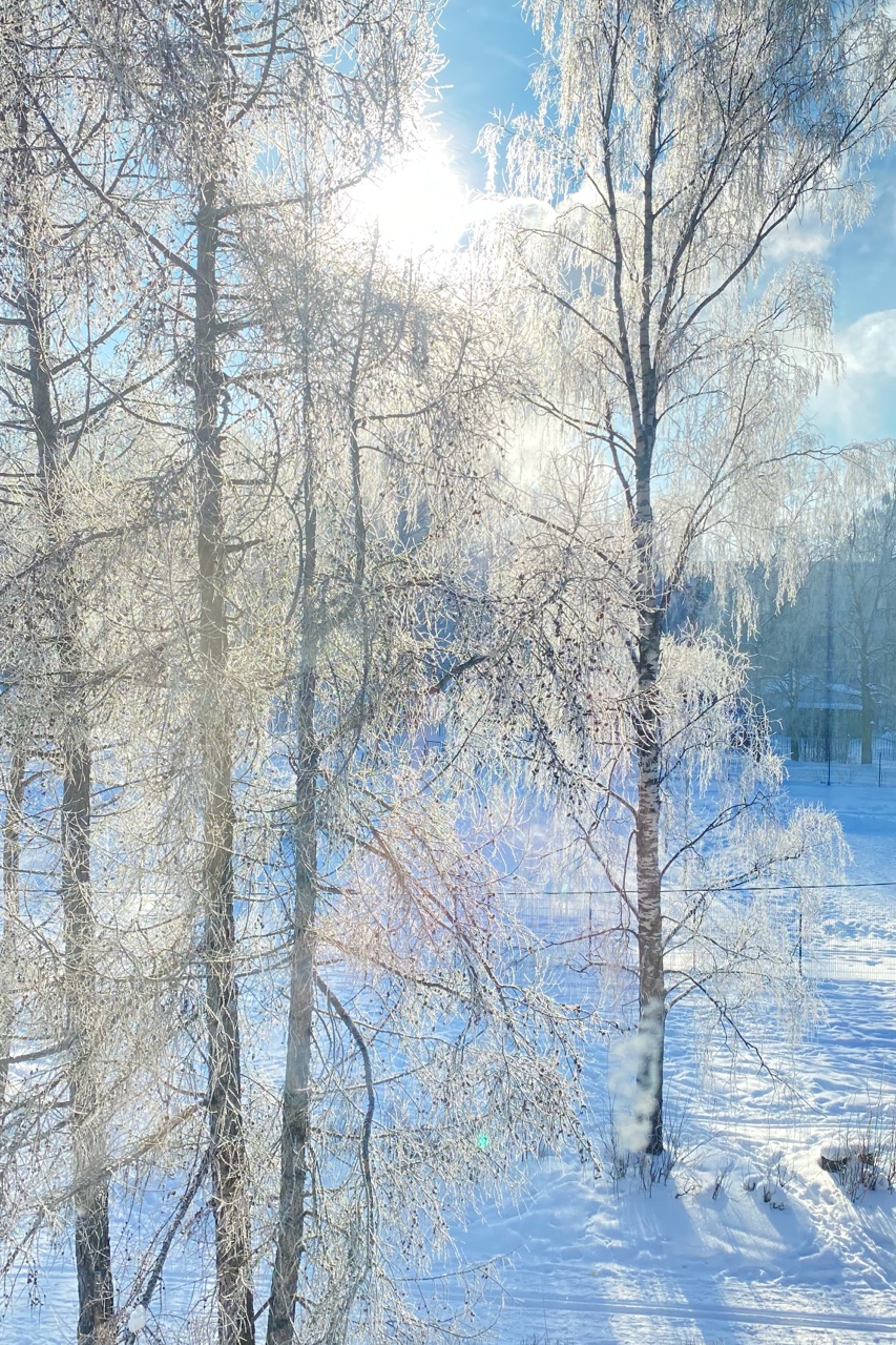 elenkazor в LOOKY — Мороз и солнце
День чудесный❄️