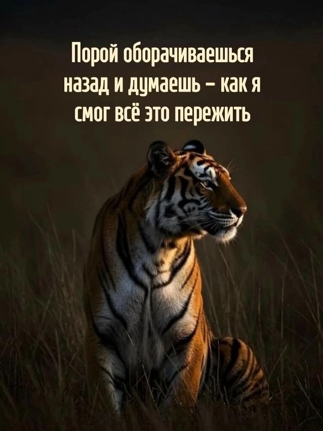  в LOOKY — Действительно задумаешься!... 🤔