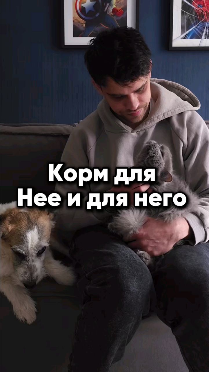 Harly_Miami в LOOKY. #harly,#cat,#dog. Каким Кормом кормишь...