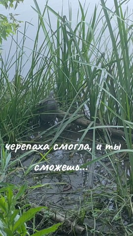 tanay220194 в LOOKY. . 