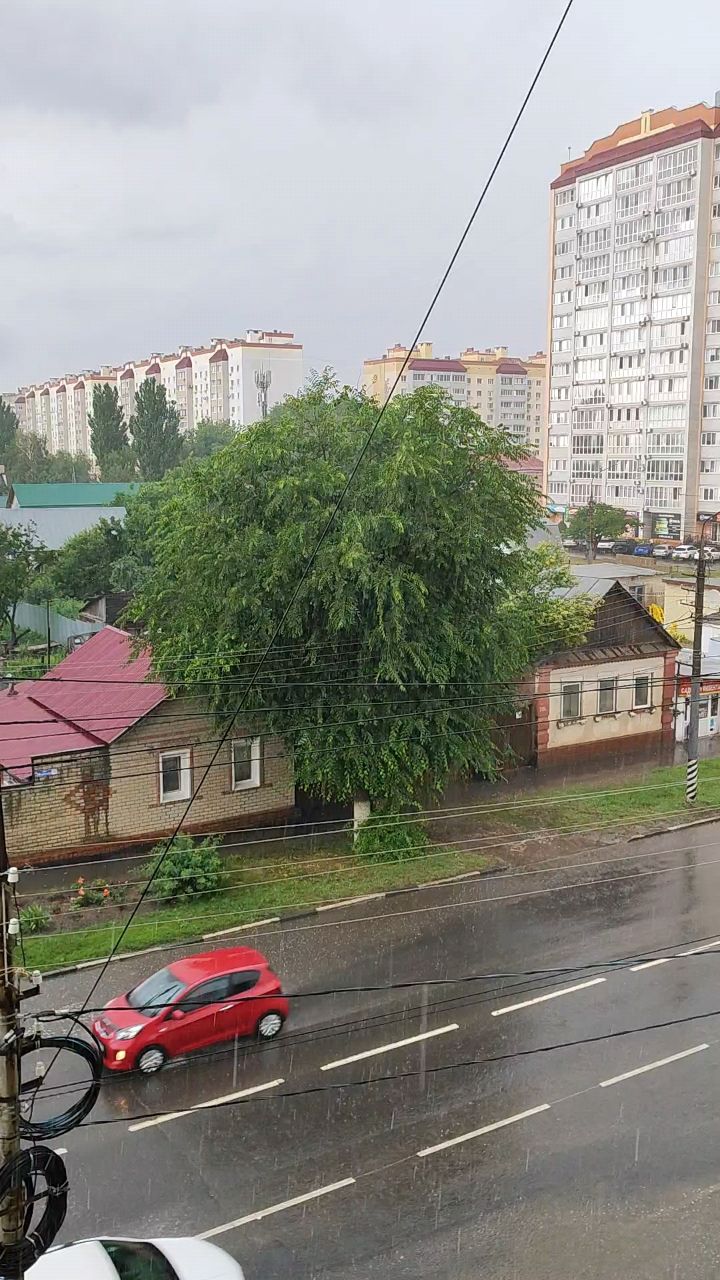Looky_1679338588080 в LOOKY. . 