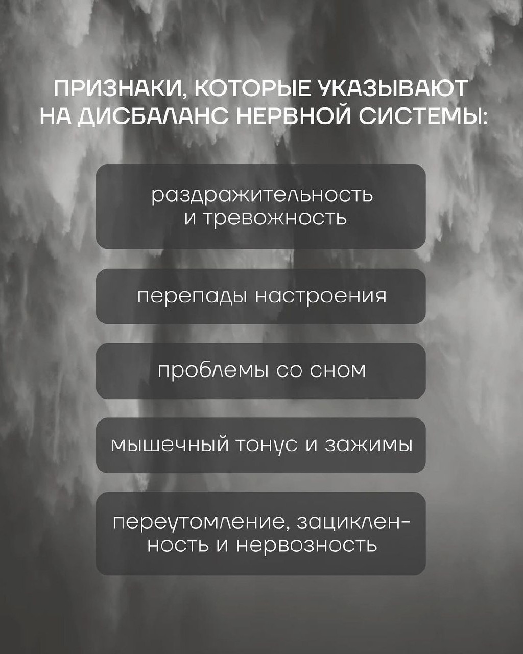 СВЕТЛАНА ГРИНЕВИЧ в LOOKY — фото 5