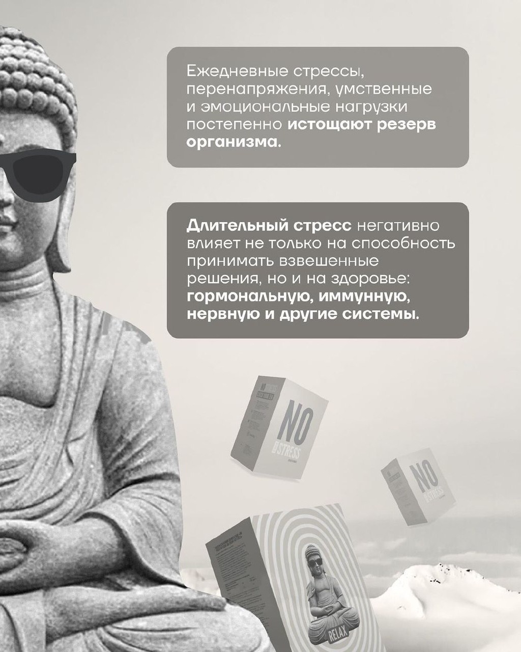 СВЕТЛАНА ГРИНЕВИЧ в LOOKY — фото 4