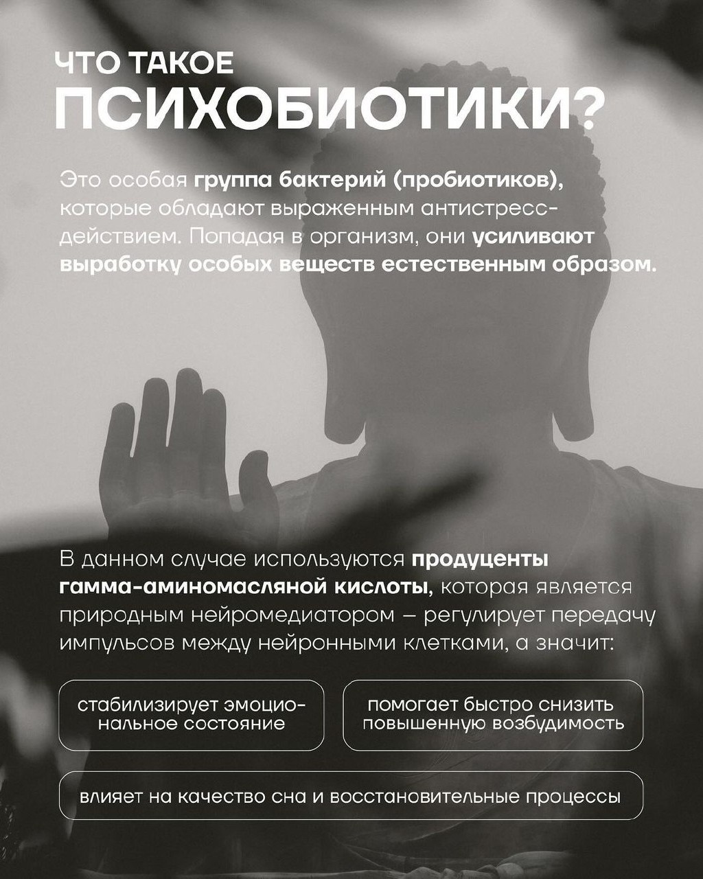 СВЕТЛАНА ГРИНЕВИЧ в LOOKY — фото 8