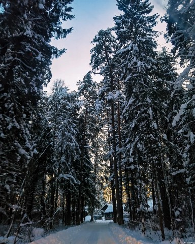 Serafima в LOOKY. #зима,#зимнийлес,#природа,#фотоприроды,#зимняядорога,#вечер,#winter,#beautiful,#landscape. Как люблю такие боль...