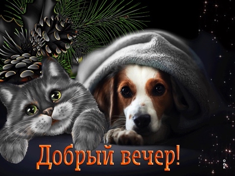 Леонид в LOOKY. . 