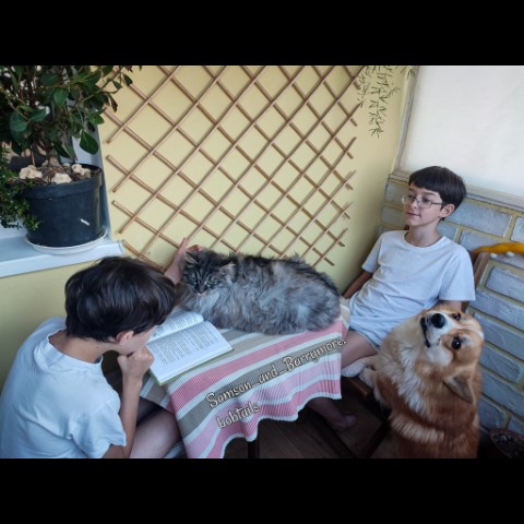 samson_and_barrymore.bobtails в LOOKY. #sweetkitty,#большойкот,#курильскийбобтейл,#kurilianbobtail,#любовьспасетмир,#собакадругчеловека,#dogoftheday,#funnypuppy,#dogcute,#welshcorgi,#corgiofinstagram,#каккошкассобакой,#деньзащитыдетей,#деньукотовления,#мокрыйнос,#котмодель,#sweetcatclub,#усылапыхвост,#безкотаижизньнета,#sweetkitty,#catlovers,#catphoto,#catpicture,#catphotography,#pets_of_instagram,#котдня,#catoftheday,#fluffycats,#коргичемпион. .
Хозяйка искала нас...