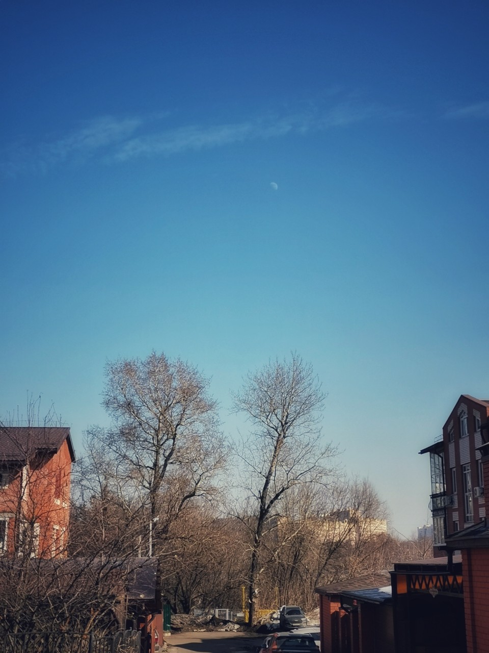 sakura1315 в LOOKY. #природа,#синеенебо,#солнечныйдень,#весна,#апрель,#looky,#looky_Top,#spring. ✨ Привет, апрель! 💚...