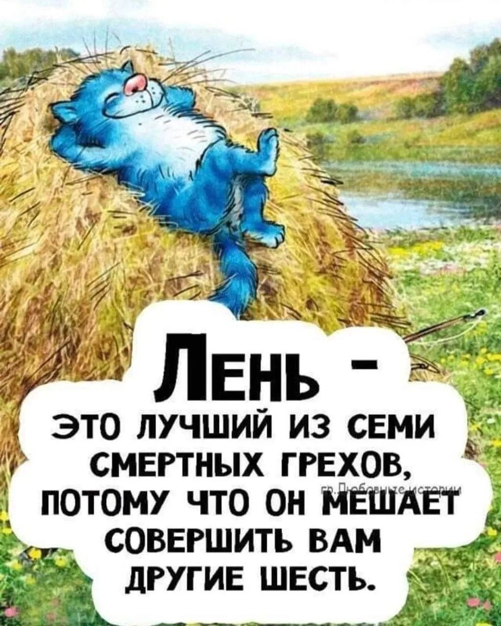 iri7254 в LOOKY — публикация